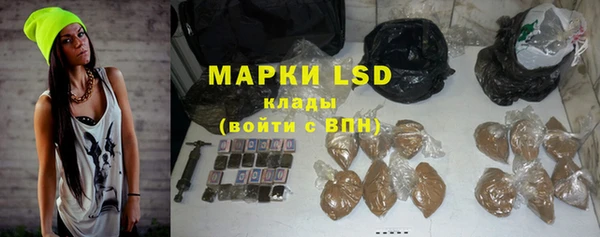гашик Дмитровск