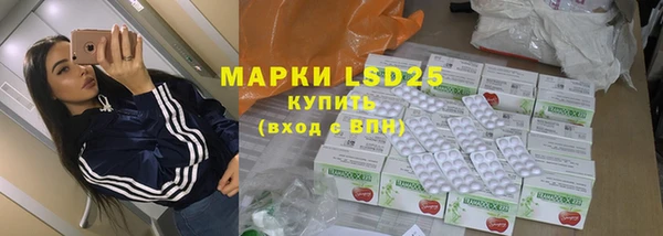 гашик Дмитровск