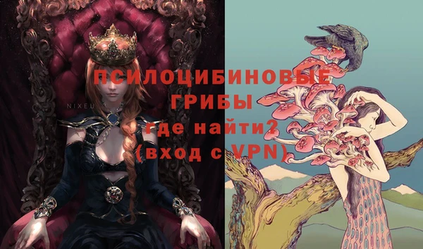 гашик Дмитровск