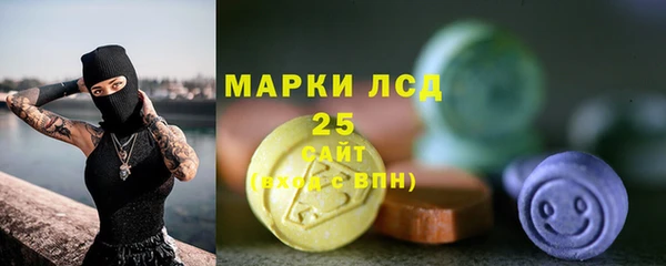 гашик Дмитровск