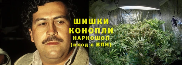 гашик Дмитровск