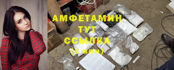 гашик Дмитровск